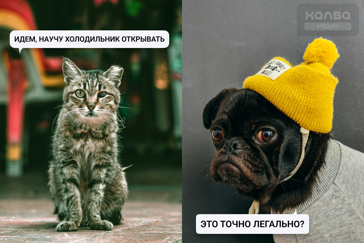 окружение и среда